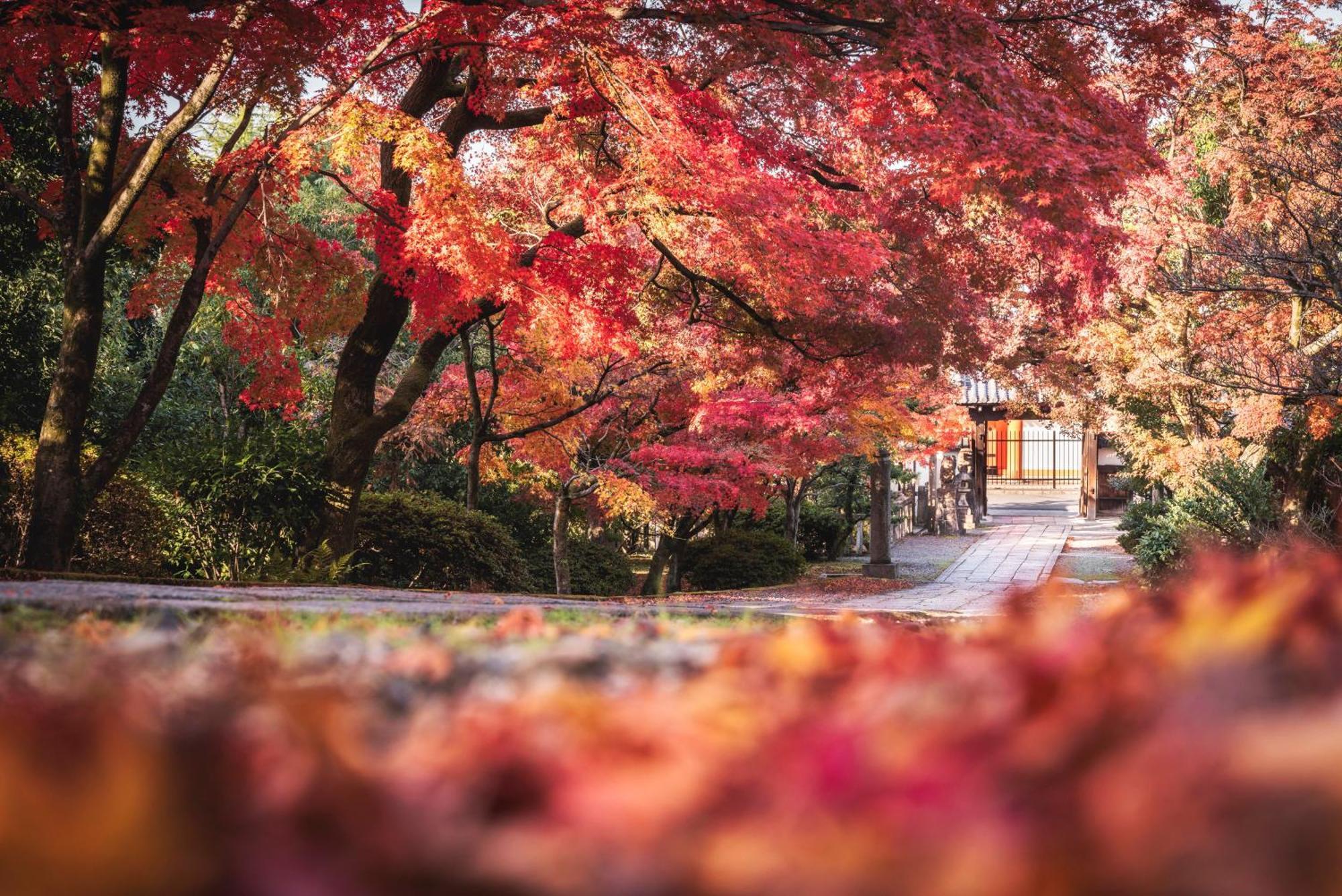 Omo5 Kyoto Gion By Hoshino Resorts Екстериор снимка